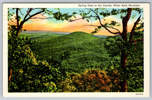 C1940s springtime ozarks white - c1940s,