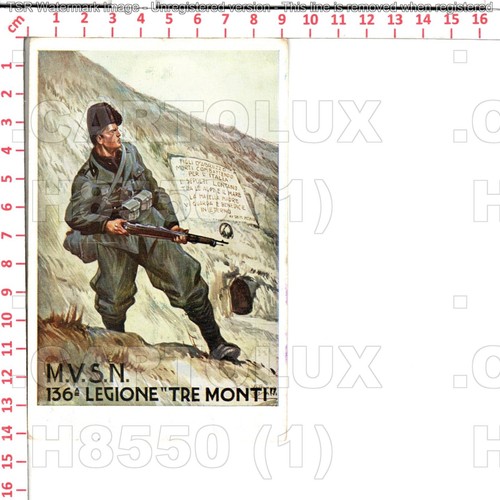 H8550 militare 1931 - militare, 136