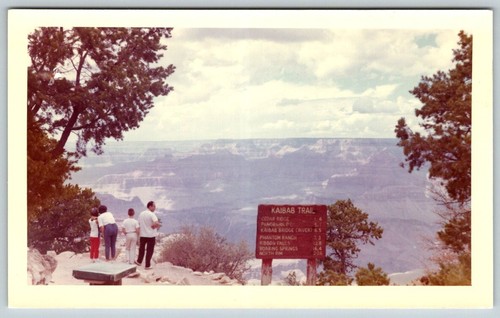 Foto epoca kaibab - foto, d'epoca