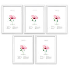 SET Cornici legno parete