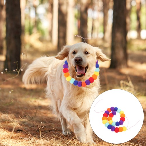 Collare cani collari - collare,