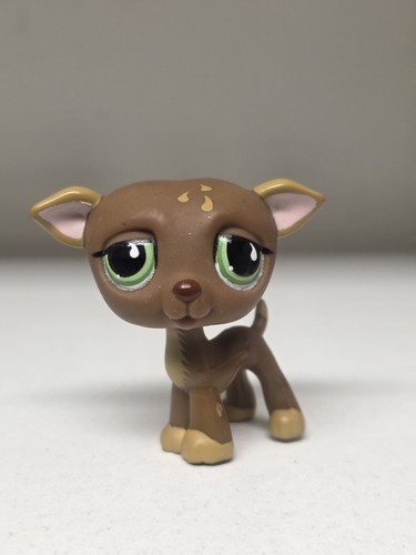 Littlest pet - littlest,