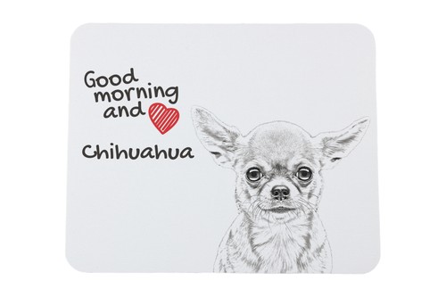 Chihuahua pelo corto - chihuahua, a