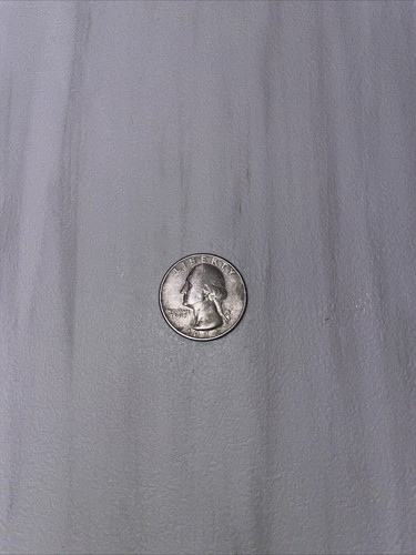 Moneta quarto dollaro - quarto,