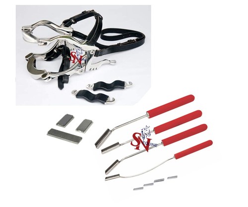 Kit dentale equino - , hausmann