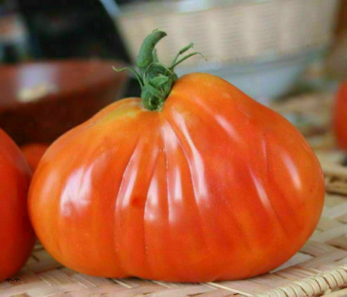 Pomodoro cuore bue peso - di, di