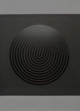 Marina Apollonio Op Art Stampa