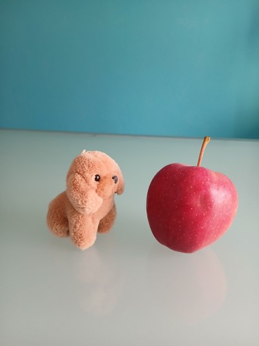 Trudi mini peluche cane - "trudi",