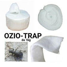 Lana Vetro OZIORRINCO TRAPPOLA