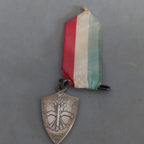 Medaglia divisione 23 - medaglia,