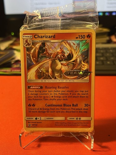 Pokemon 2019 team - team, up