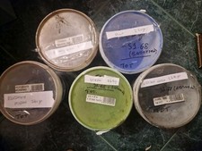 Ossidi Terre Rare Marrone Mogano Nero Verde Blu 5pz Pigmenti Liutai Mobili Legno