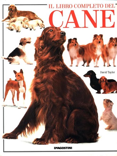 Libro completo del cane - il,