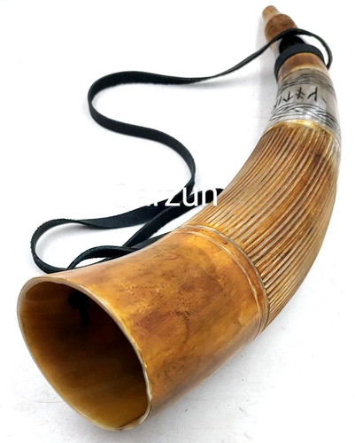 Vero toro vichingo che soffia