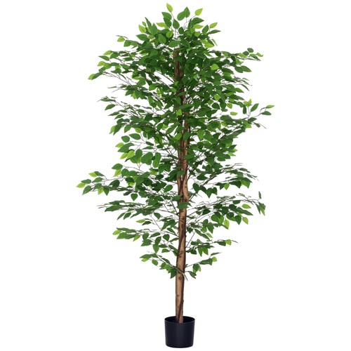Pianta ficus artificiale da - pianta, di