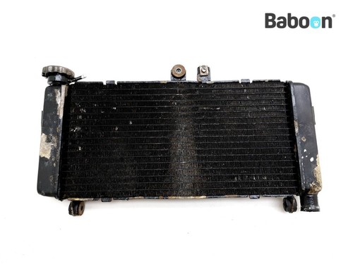 Radiatore honda cbf - radiatore,