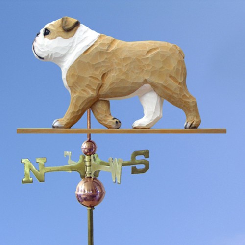 Bulldog inglese intagliato - inglese,