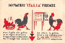 C6179 galli galline - galli,