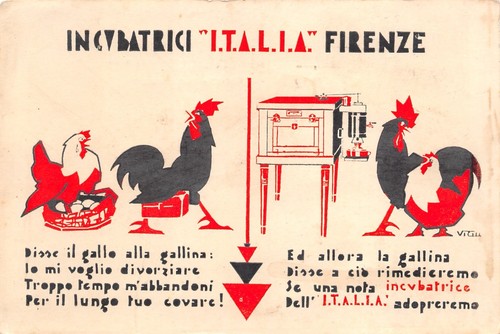 C6179 galli galline - e,