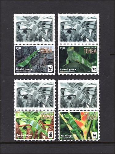 M28282 tonga 2016 iguana set - m28282,