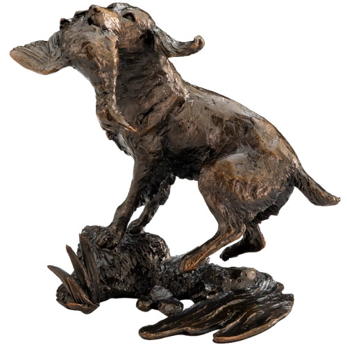 Richard cooper limited edition - richard,