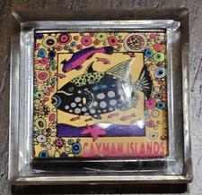 2×2 Caymen Islands Aquarium Fridge Locker Magnet Souvenir Starfish Coral Fish