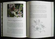 Gardening for Fragrance by