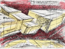 VINICIO BERTI: Rara Tecnica