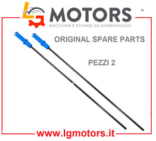 REBBIO IN CARBONIO PER