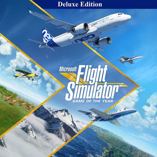Microsoft flight simulator - flight,