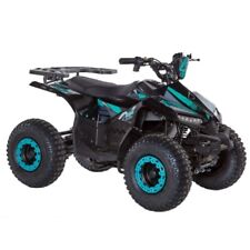 Mini Quad Elettrico KXD