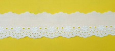 1 metro Pizzo Merletto Sangallo bianco