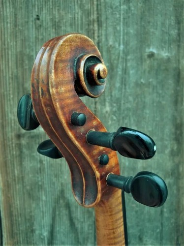 Antico violino auciello - antico,