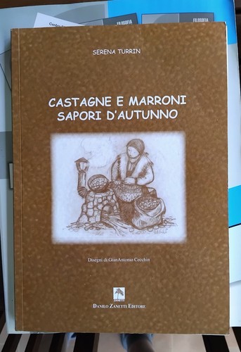 Castagne marroni sapori - marroni,
