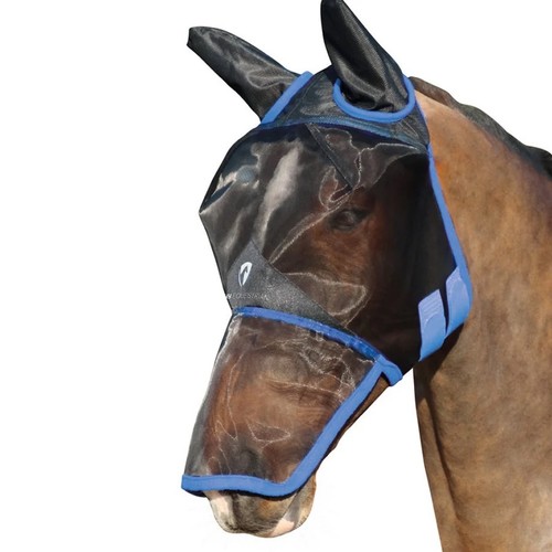Equestrian horse fly - equestrian,