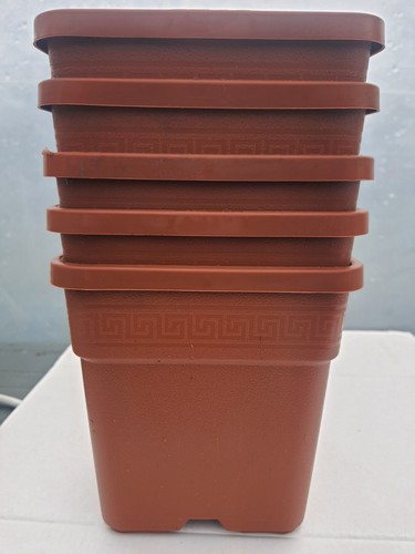 Vasi plastica quadrati - plastica,