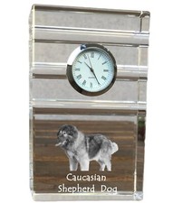 Cane Da Pastore Caucasico