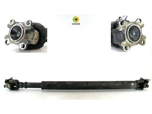 Cardano albero posteriore cod - posteriore,