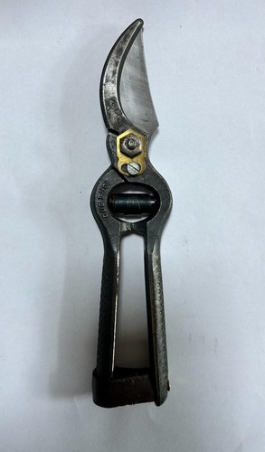 Forbici pota professionali - forbici,