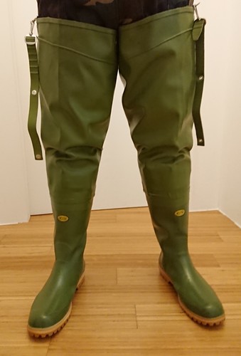 Stivali tuttacoscia verdi - stivali,