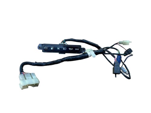 Quadro strumenti triumph - quadro,