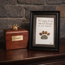 "Non più al nostro fianco ma