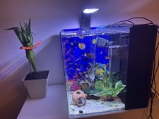 acquario usato Completo 30x40 32h 30litri