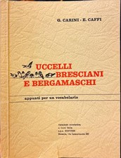 Uccelli bresciani e