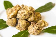 TARTUFO BIANCO FRESCO ITALIA III Scelta TUBER MAGNATUM PICO TARTUFI FRESCHI 30gr