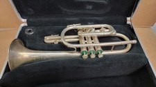 Holton Collegiate Cornetto
