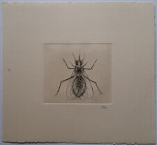 Guido Strazza (Santa Fiora 1922) - Insetti, 1980 - Incisione n° 32