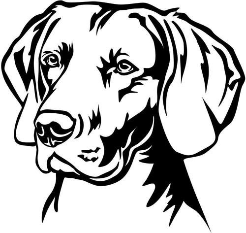 Adesivo weimaraner - adesivo,