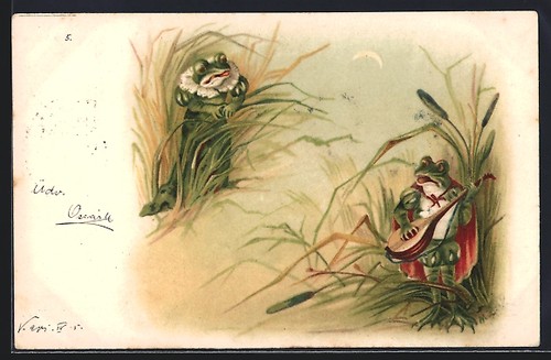 Cartolina artistica rana canta