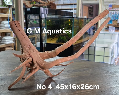 Acquario acquascape - acquario,